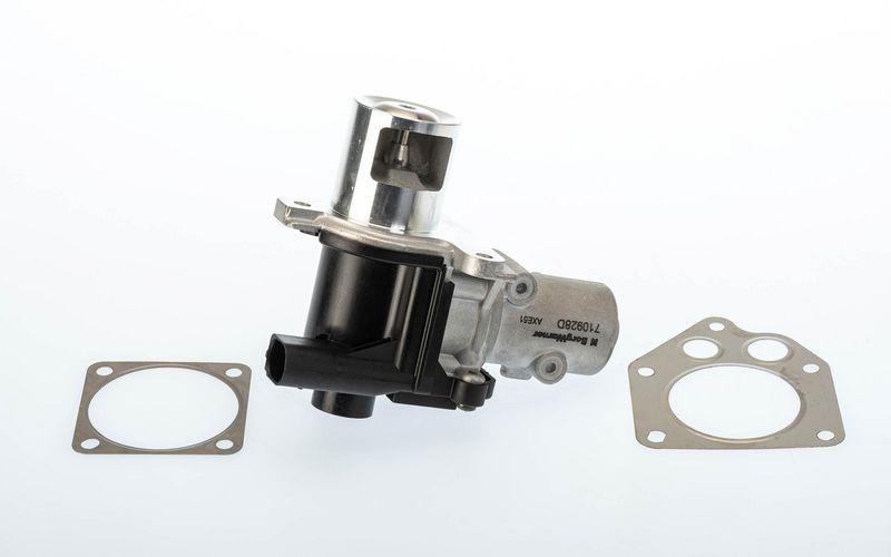 BorgWarner (Wahler) AGR-Ventil