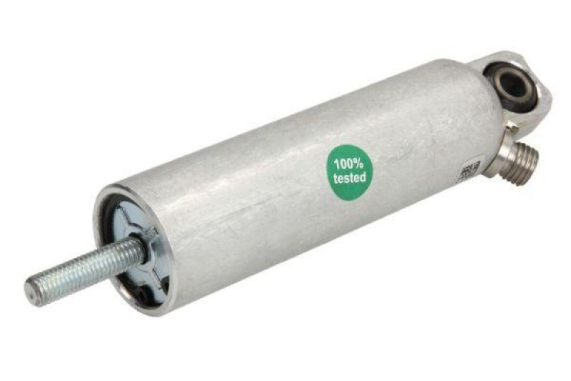 PNEUMATICS Arbeitszylinder, Motorbremse