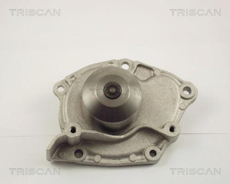 TRISCAN Wasserpumpe