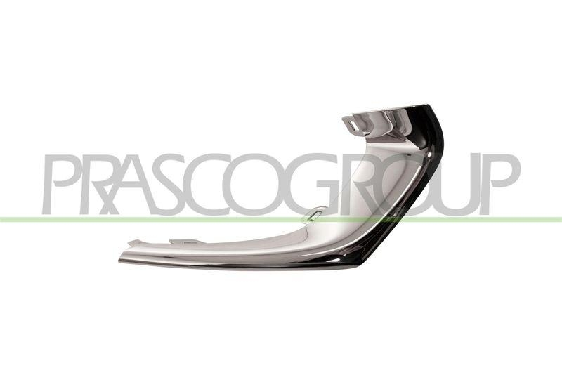 Trim/Protective Strip, radiator grille