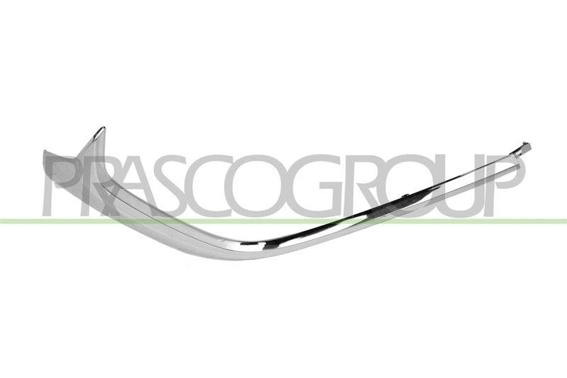 Trim/Protective Strip, bumper