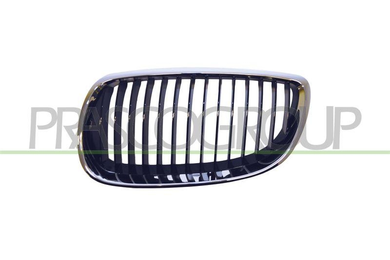 Radiator Grille Premium
