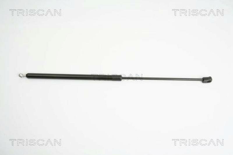 TRISCAN Gas Spring, boot-/cargo area