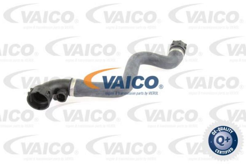 VAICO Radiator Hose Q+, original equipment manufacturer quality