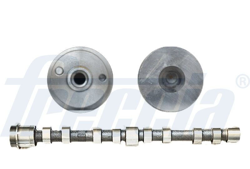 FRECCIA Camshaft