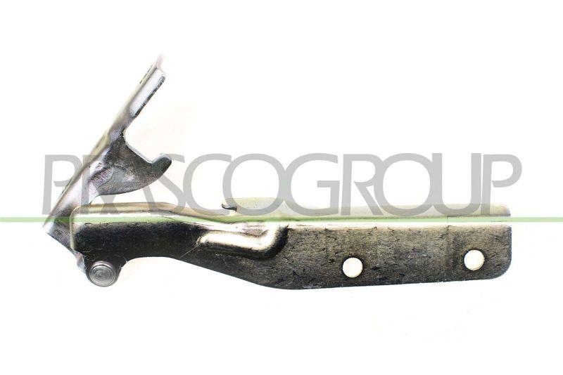 PRASCO Hinge, bonnet