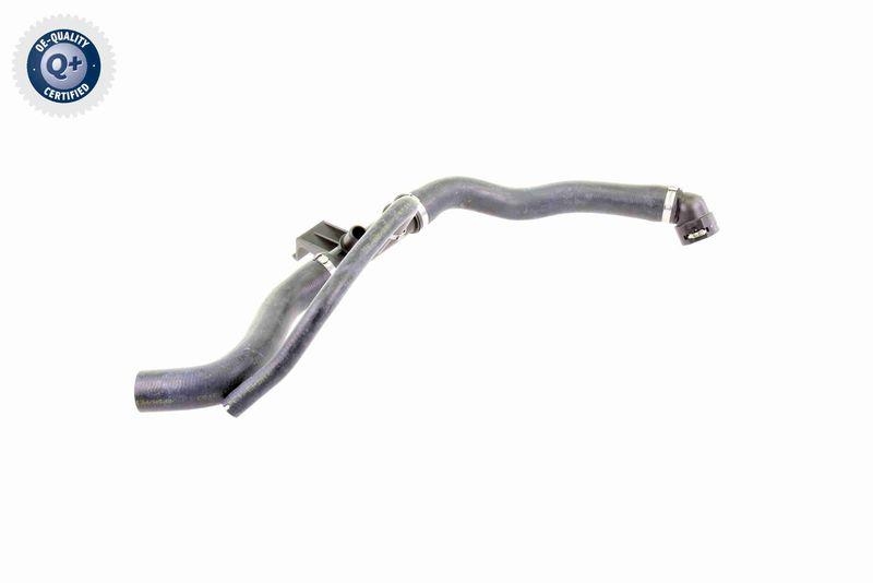 VAICO K&uuml;hlerschlauch Q+, Erstausr&uuml;sterqualit&auml;t V22-0369