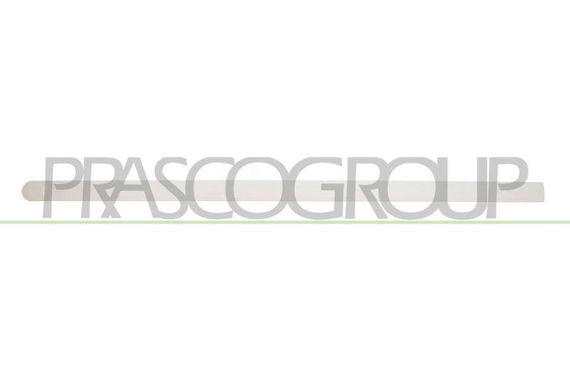 PRASCO Zier-/Schutzleiste, Tür