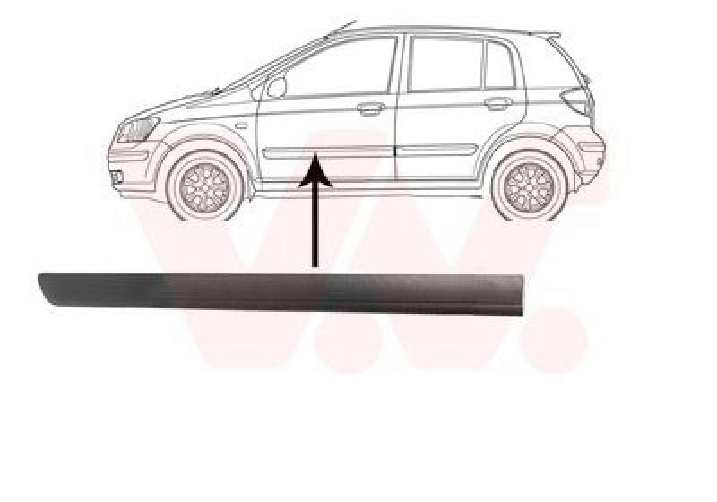 VAN WEZEL Trim/Protective Strip, door