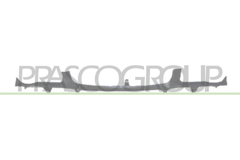Cover, radiator grille