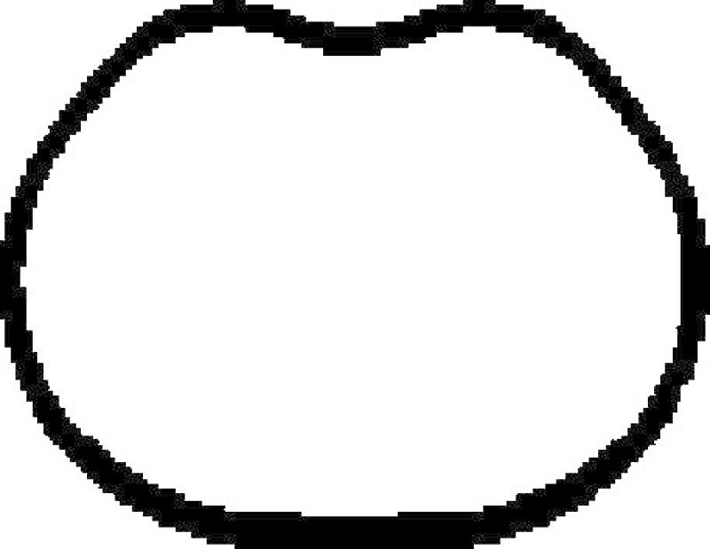 CORTECO Gasket, intake manifold