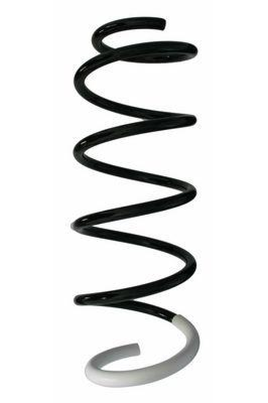 SPIDAN Fahrwerksfeder