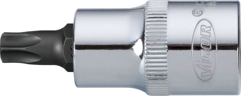 VIGOR Socket