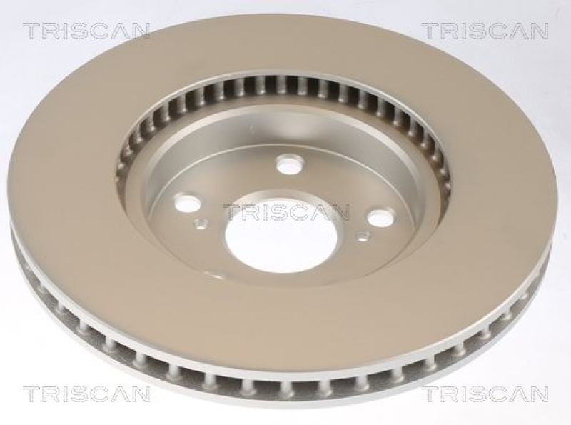 2x TRISCAN Bremsscheibe 8120 131034c