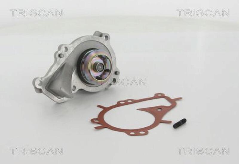 TRISCAN Water Pump