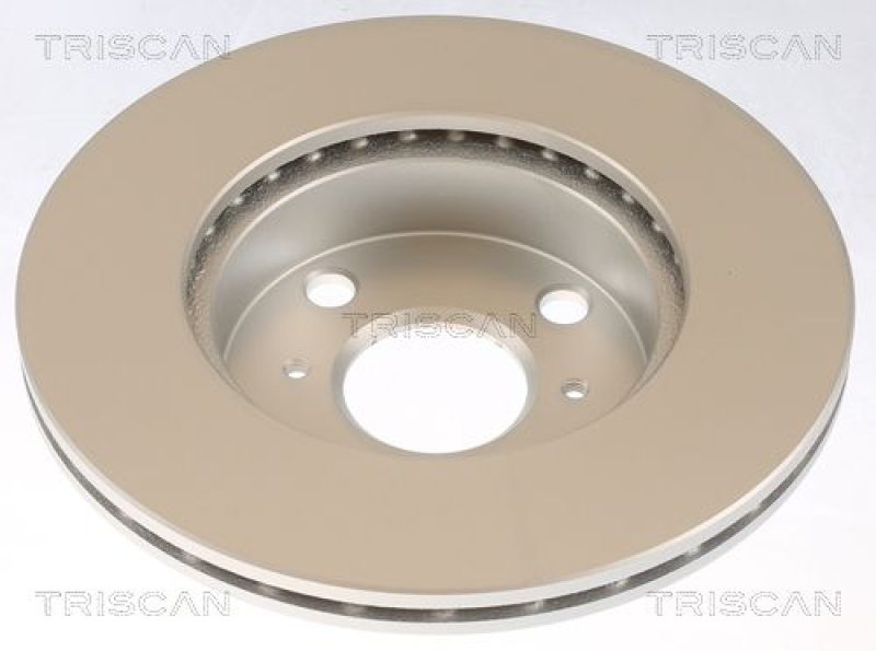 2x TRISCAN Bremsscheibe 8120 13110c