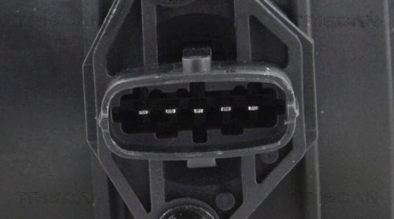 TRISCAN Air Mass Sensor