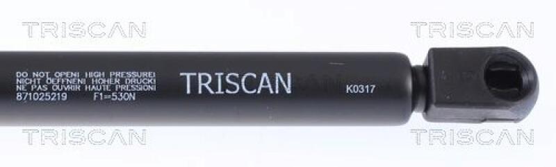 TRISCAN Gasfeder, Koffer-/Laderaum