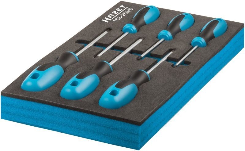 HAZET Schraubendrehersatz 163-266/6