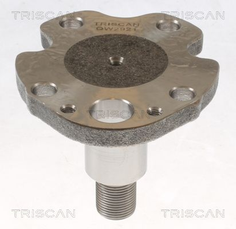 TRISCAN Wheel Hub
