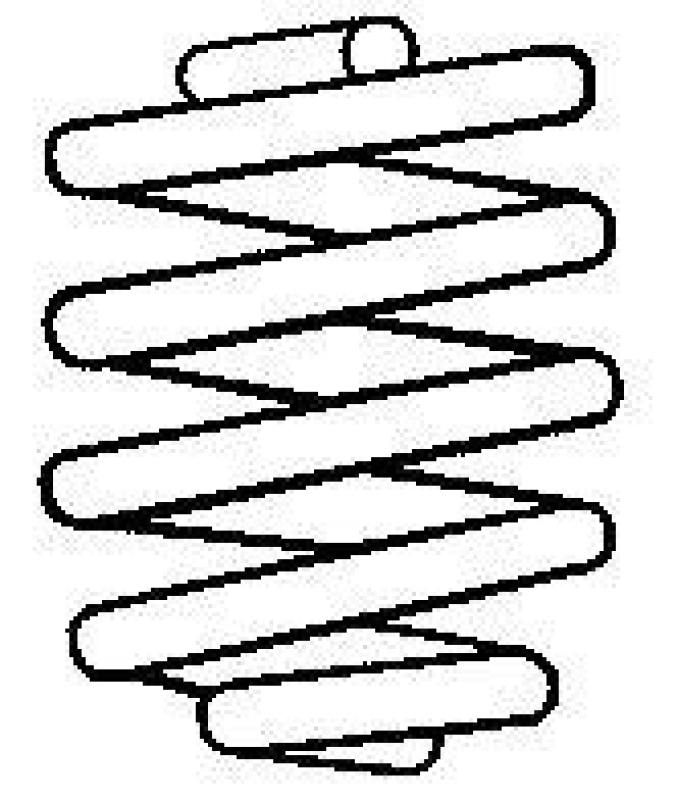 SACHS Suspension Spring