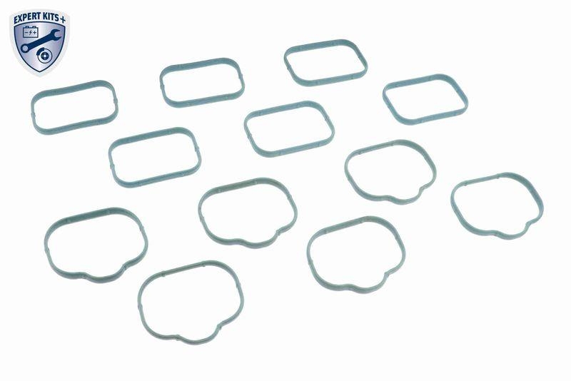 VAICO Intake Manifold Module EXPERT KITS +