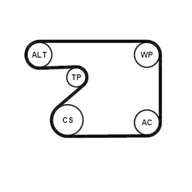 CONTINENTAL CTAM Wasserpumpe + Keilrippenriemensatz
