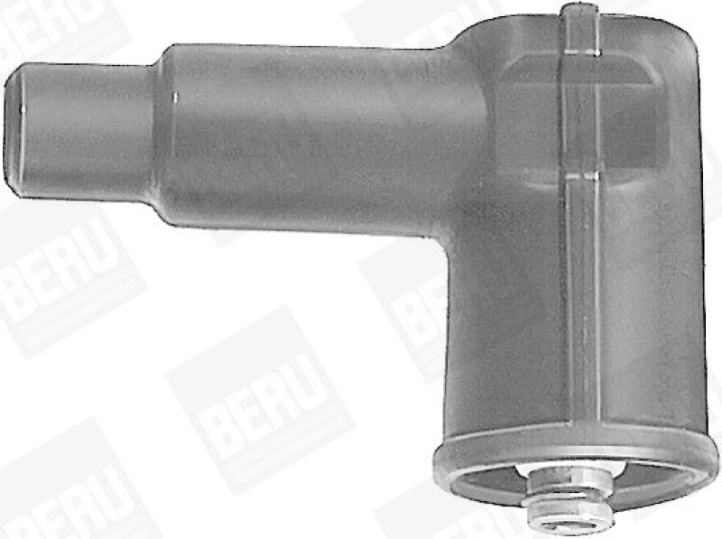 BERU by DRiV Plug, coil