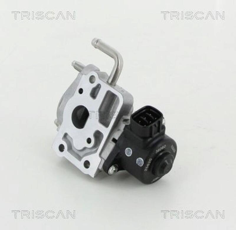 TRISCAN EGR Valve