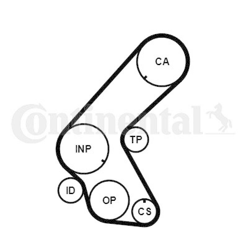 CONTINENTAL CTAM Zahnriemen