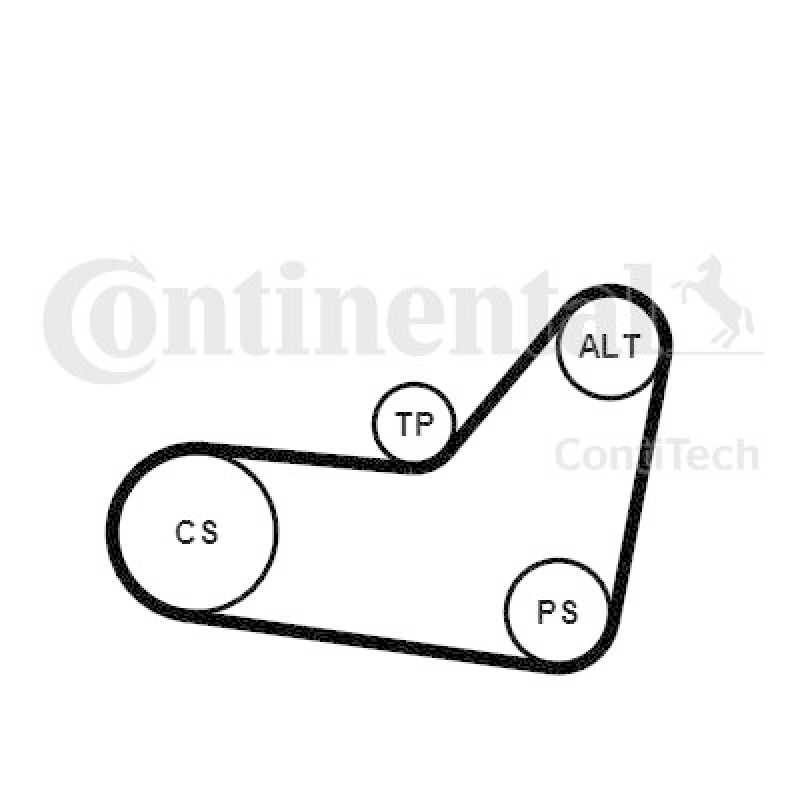 CONTINENTAL CTAM V-Ribbed Belt Set
