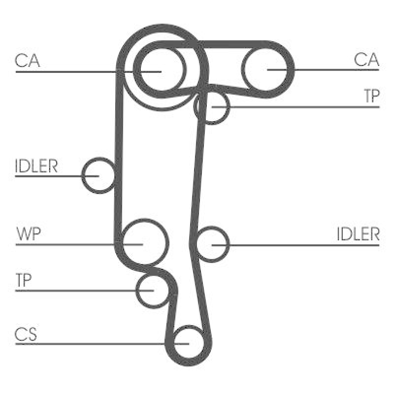 CONTITECH Water Pump & Timing Belt Kit