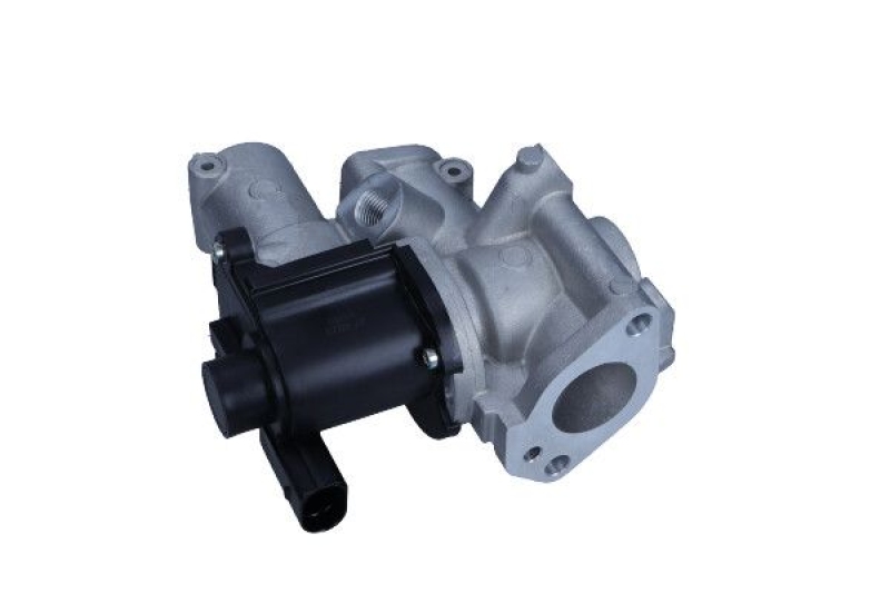 MAXGEAR EGR Valve