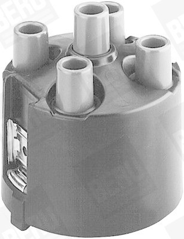 BERU by DRiV Distributor Cap