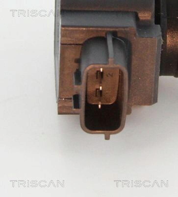 TRISCAN Ignition Coil