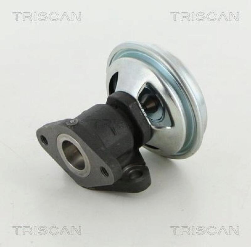 TRISCAN EGR Valve