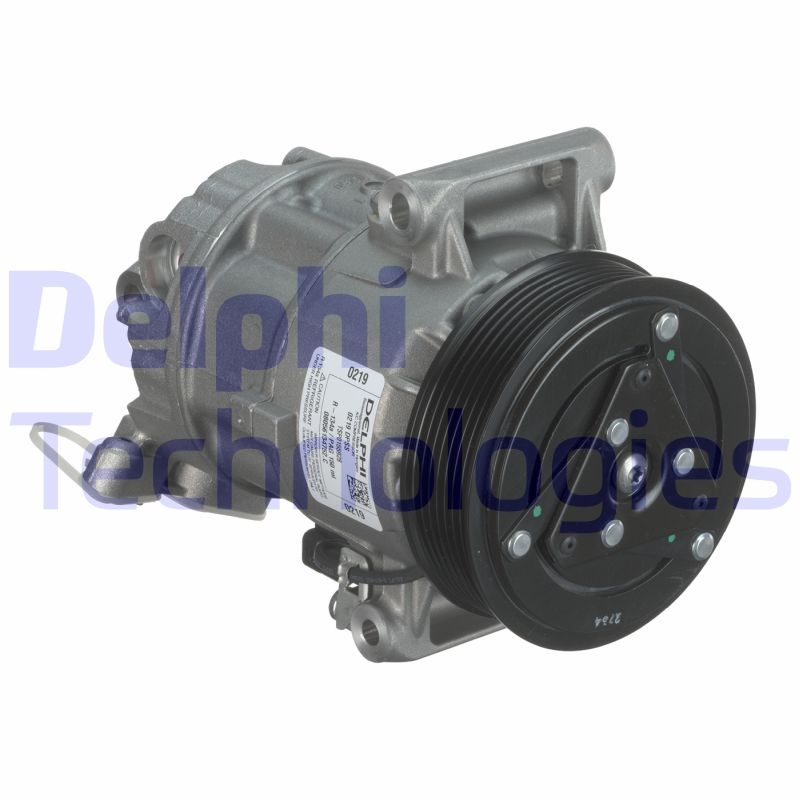 DELPHI Kompressor, Klimaanlage TSP0155928