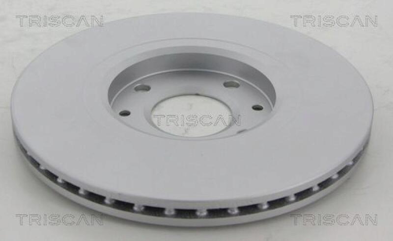 2x TRISCAN Brake Disc