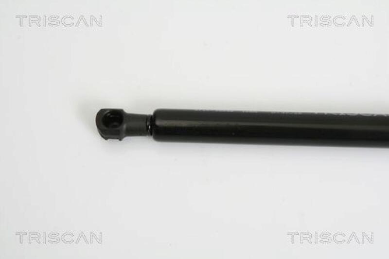 TRISCAN Gas Spring, rear windscreen