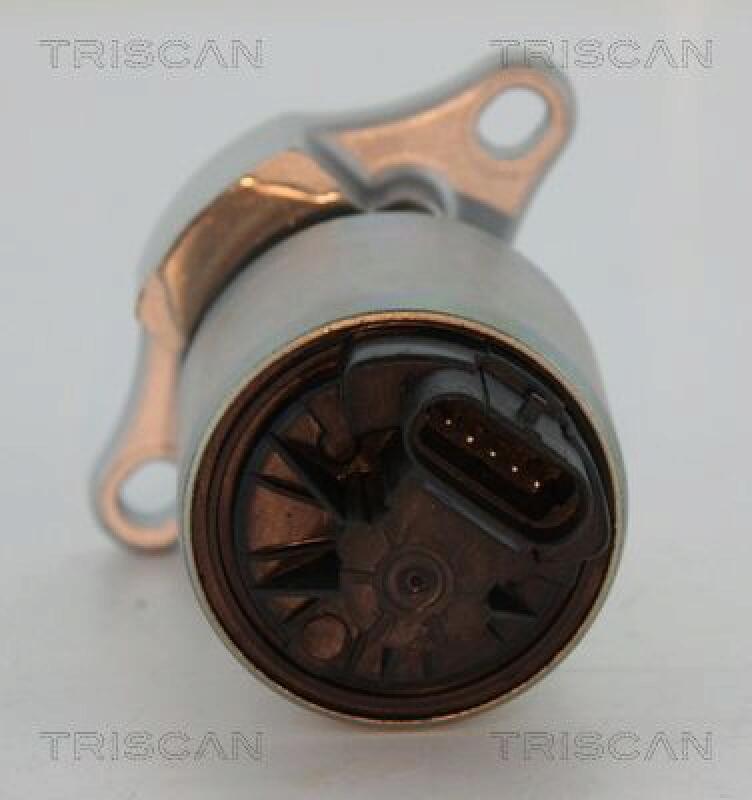 TRISCAN EGR Valve