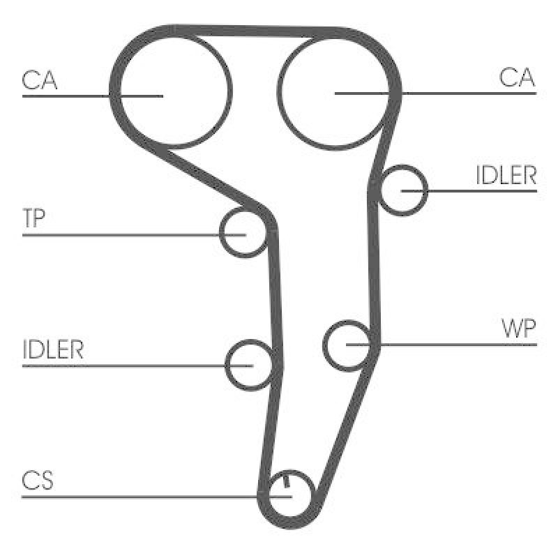 CONTI Zahnriemensatz mit Wasserpumpe CT1051WP1 passend für Audi A3 8P VW Passat B6 Golf 5 Touran 2.0 TDI