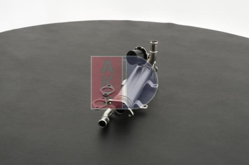 AKS DASIS EGR Module