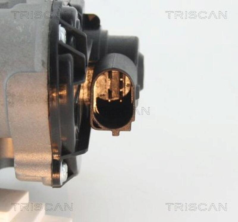 TRISCAN EGR Valve