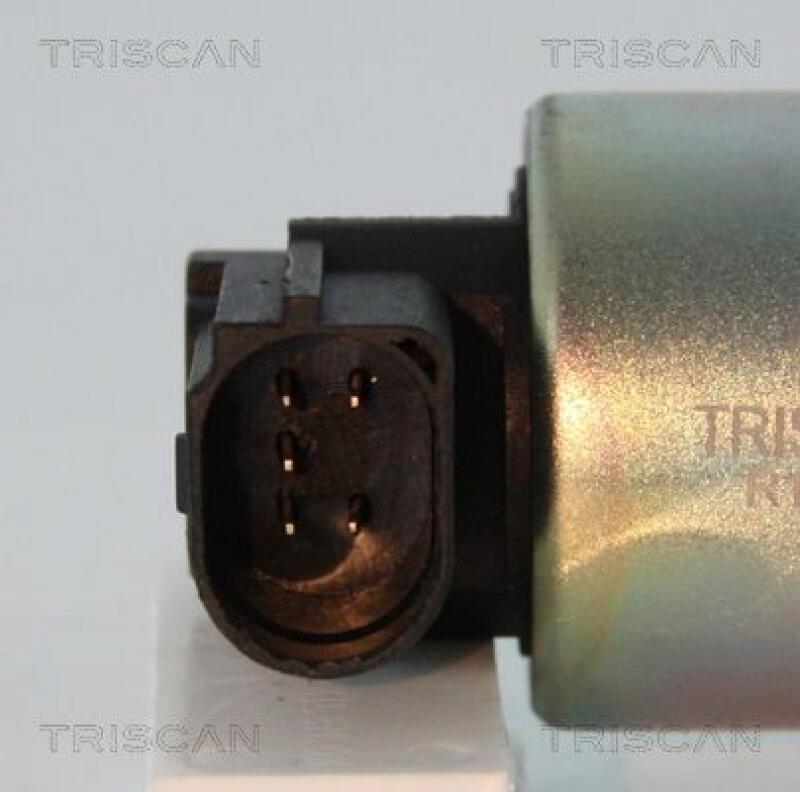 TRISCAN EGR Valve