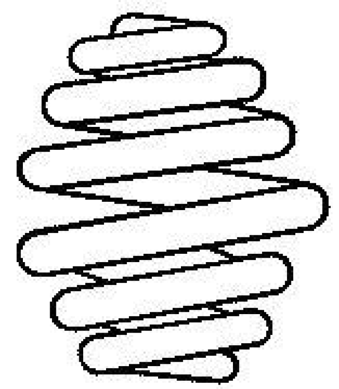 SACHS Suspension Spring