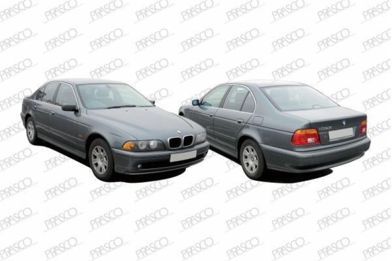 Trim/Protective Strip, bumper