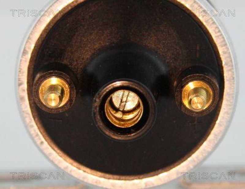 TRISCAN Ignition Coil