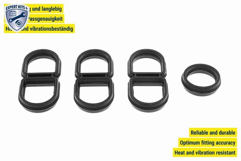 VEMO Dichtung, Ölkühler EXPERT KITS +