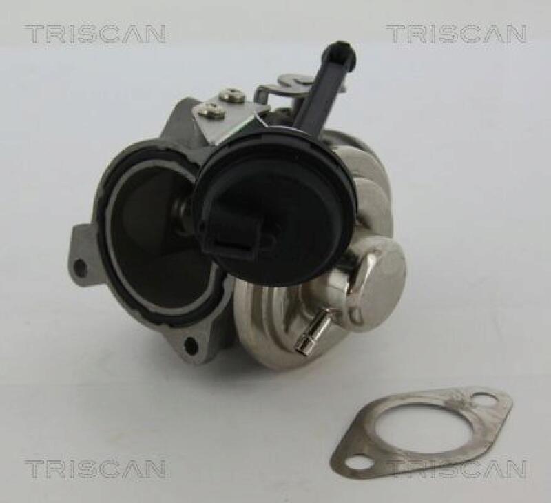 TRISCAN AGR-Ventil 8813 29022
