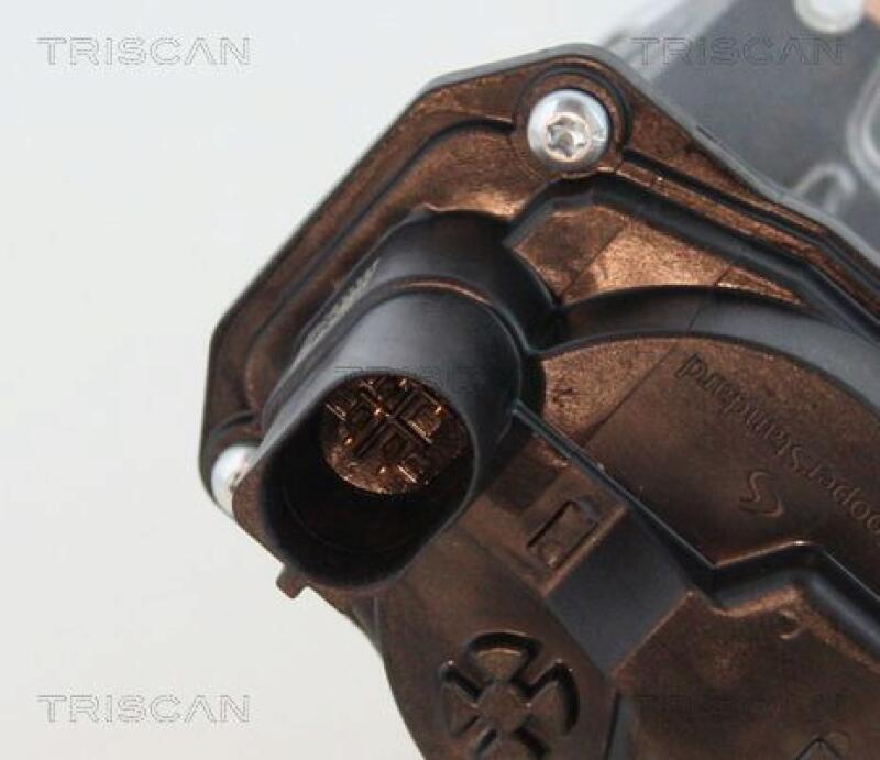 TRISCAN AGR-Ventil 8813 29065